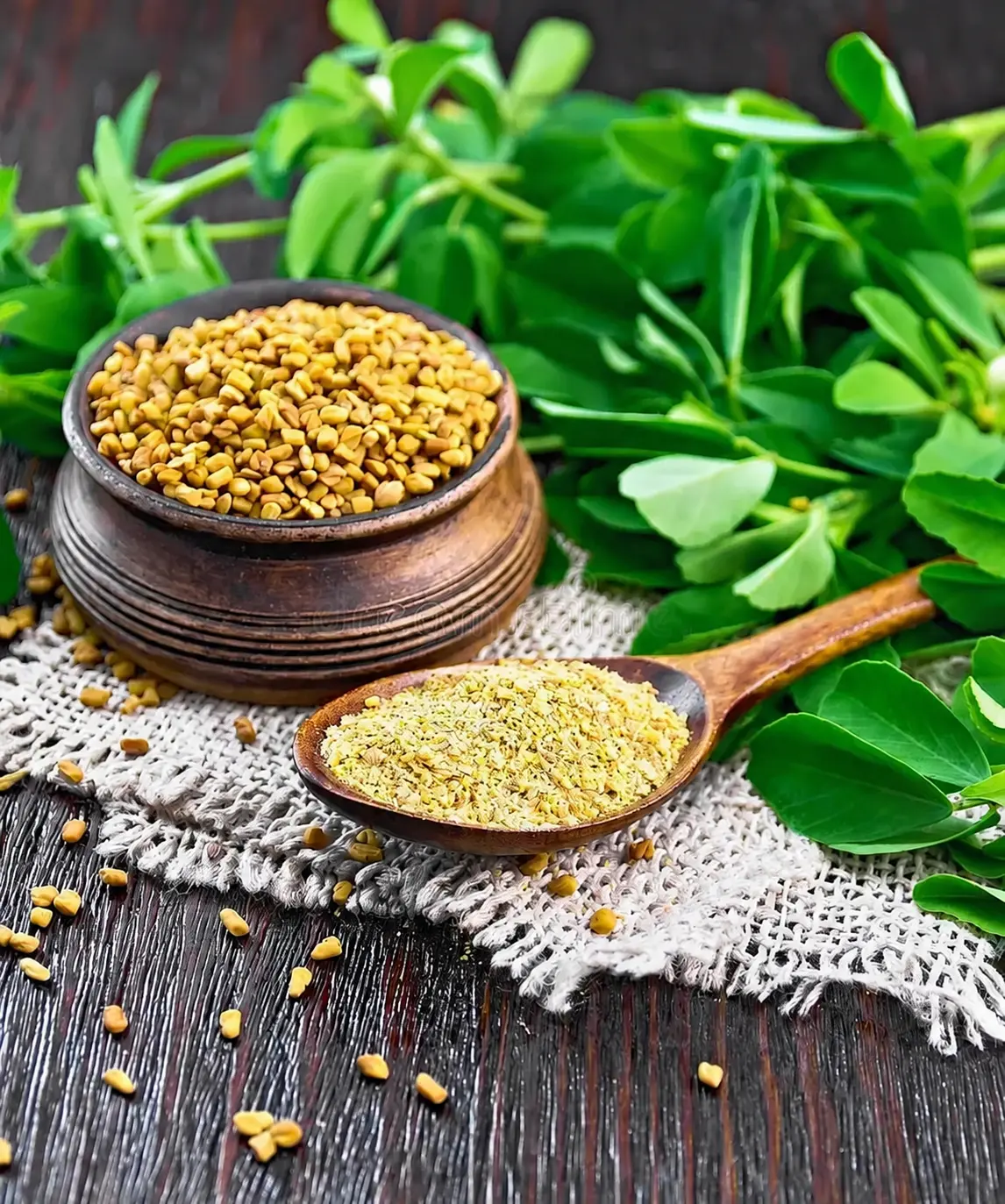 Fenugreek Powder